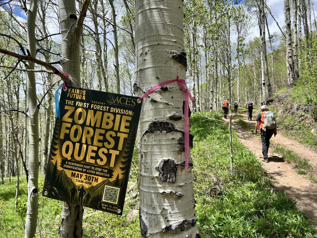Branham: Zombie Forest Quest — can we save the trees? | AspenTimes.com