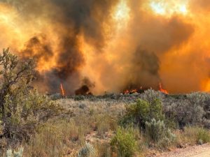 Dry Creek Fire Expands to 315 Acres South of Rifle