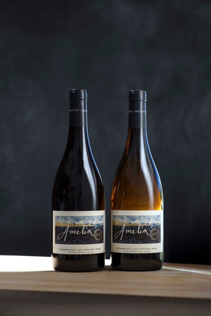 WineInk: Chiles Viña Amelia reboots