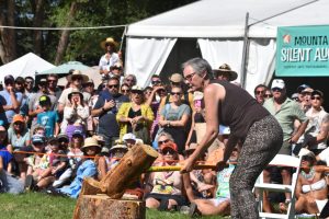 Carbondale Mountain Fair seeks volunteers