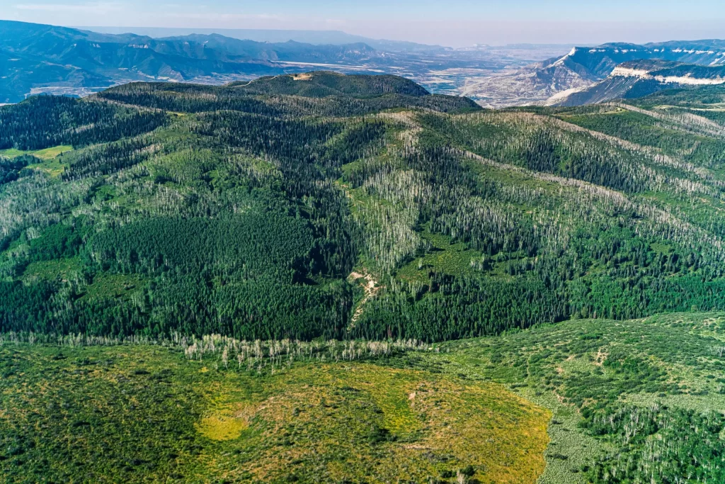 aspentimes.com - Elizabeth   Stewart-Severy - Aspen Journalism: When oil and gas trump other uses