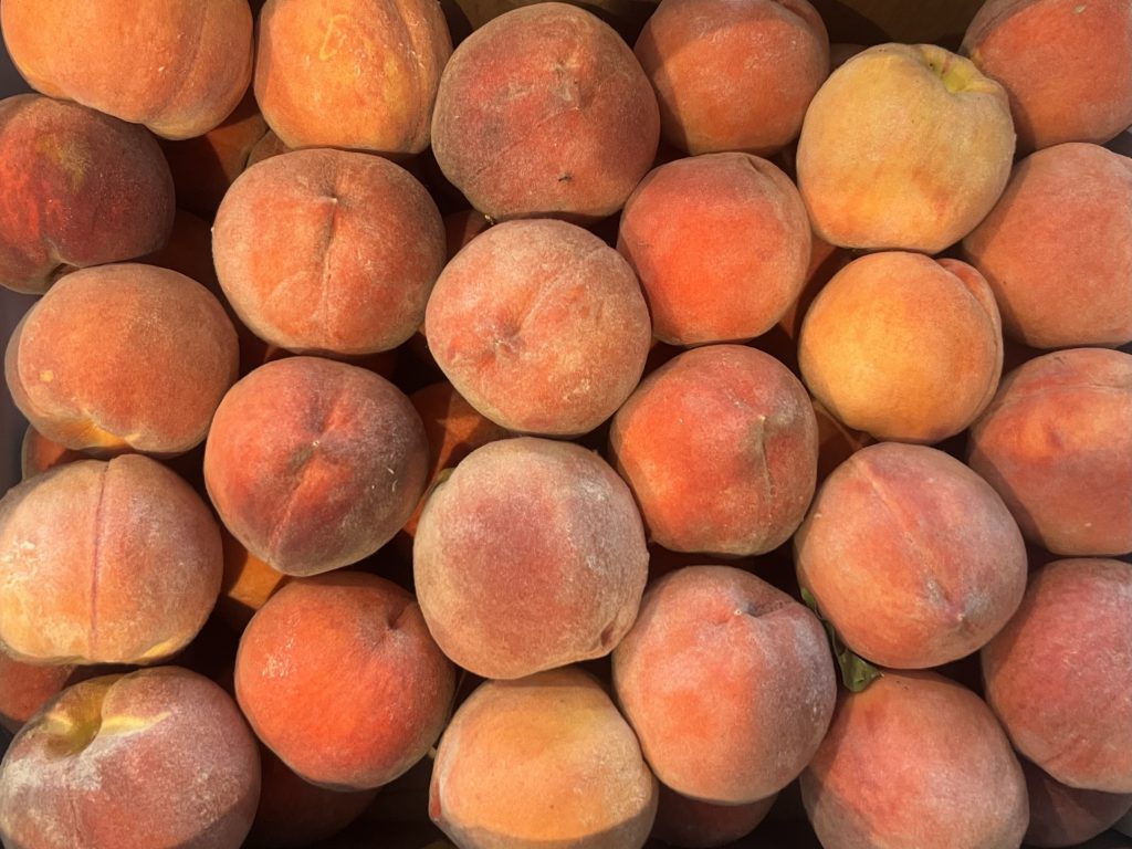 New Colorado laws penalizing counterfeit produce, bear luring take effect in August