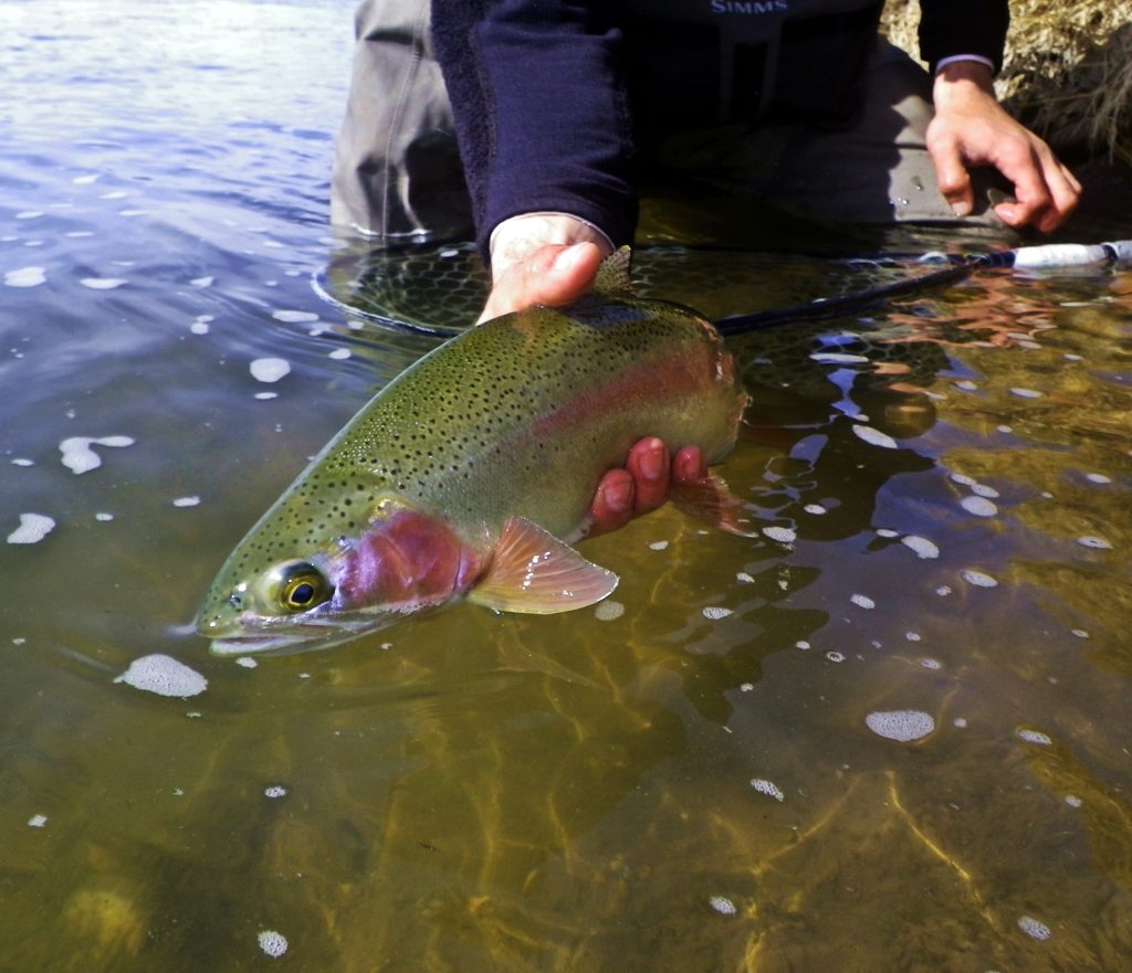 On the Fly: Fryingpan River flows are projected to increase