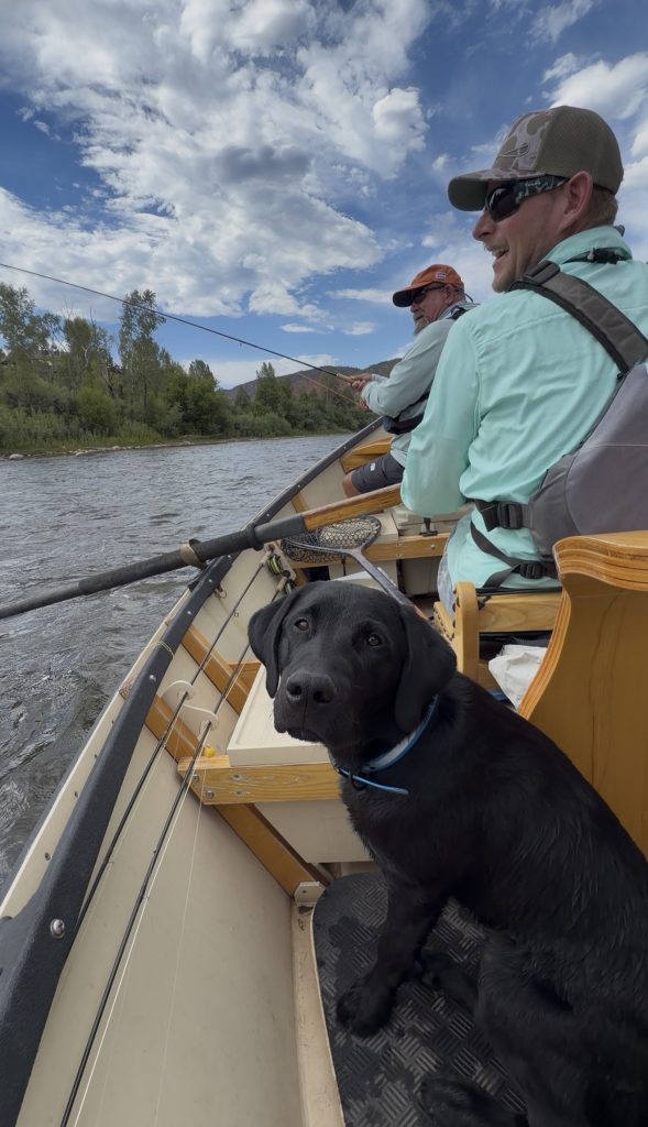 On the Fly: Mother knows best
