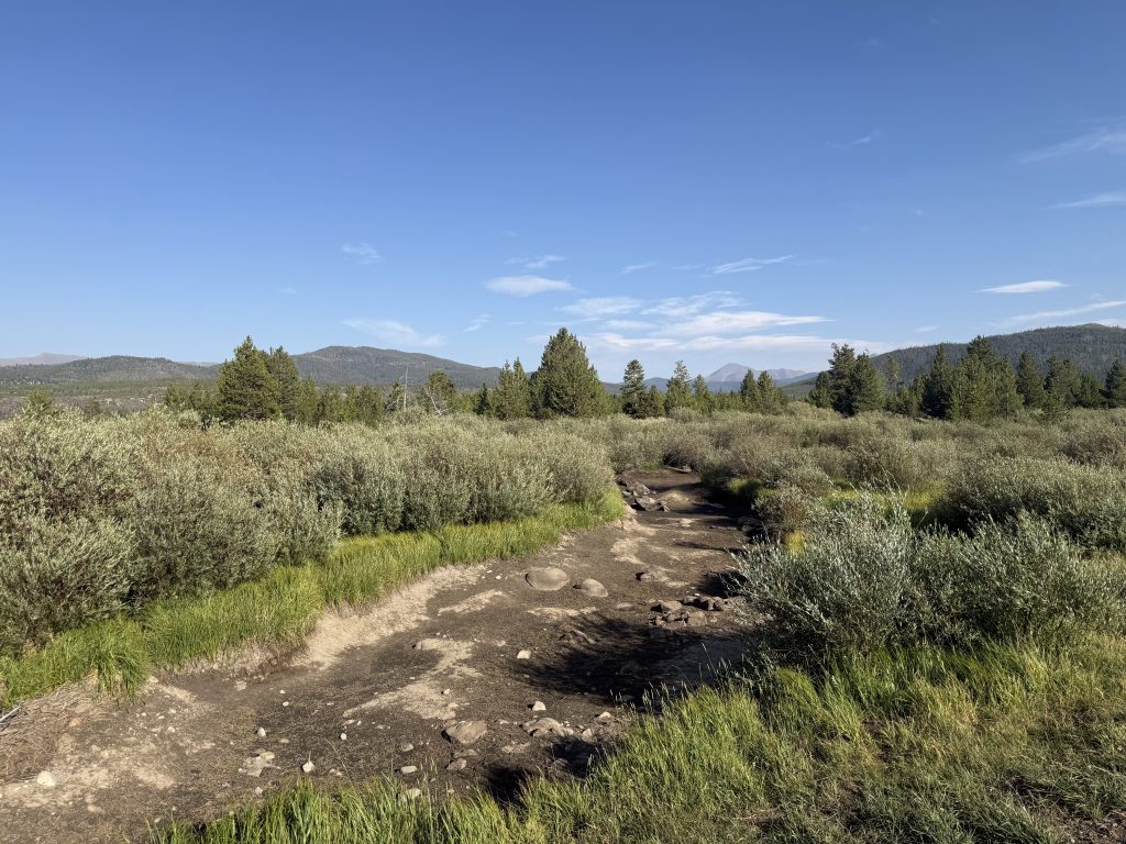 Colorado remains ‘epicenter’ of worst drought conditions in the West, as heat records pile up