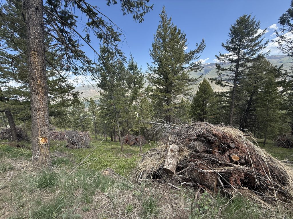 In November, Colorado voters will weigh in on funding increase for conservation, water and wildfire mitigation