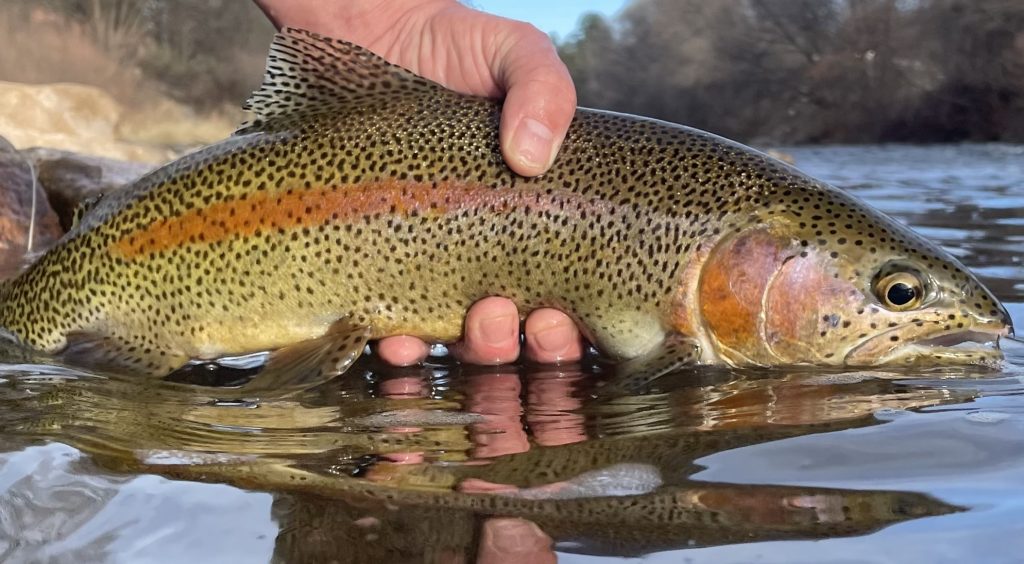 On the Fly: Learning by doing
