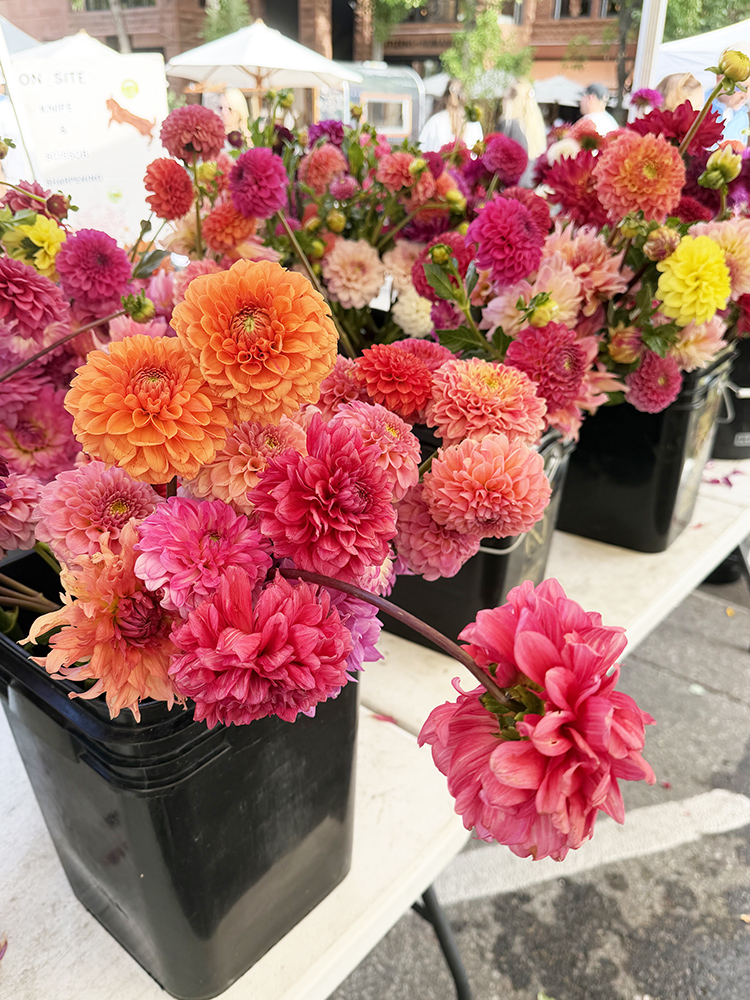 Mountain Mayhem: The season finale of the Aspen Saturday Market