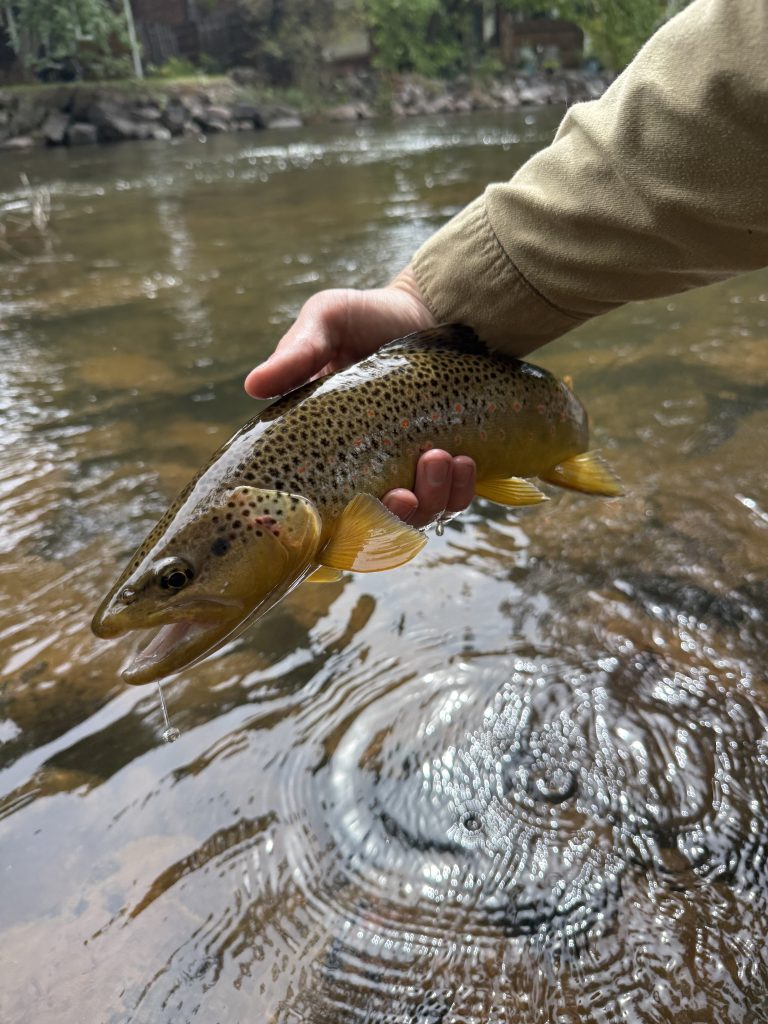On the Fly: Changes are afoot
