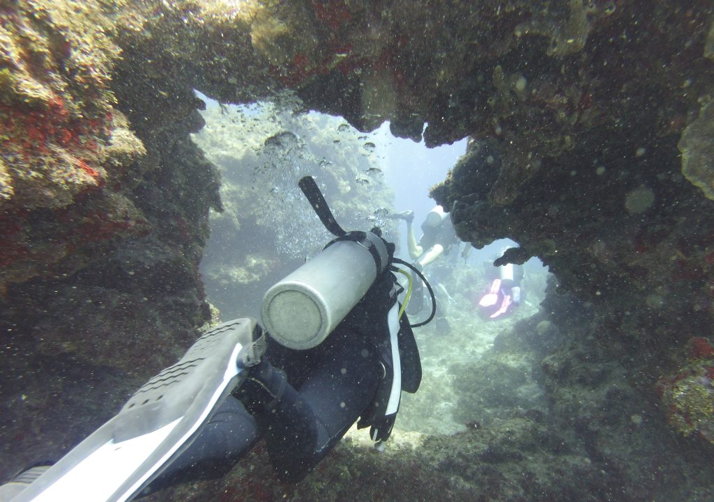 Just Beyond Your Backyard: Grand Cayman