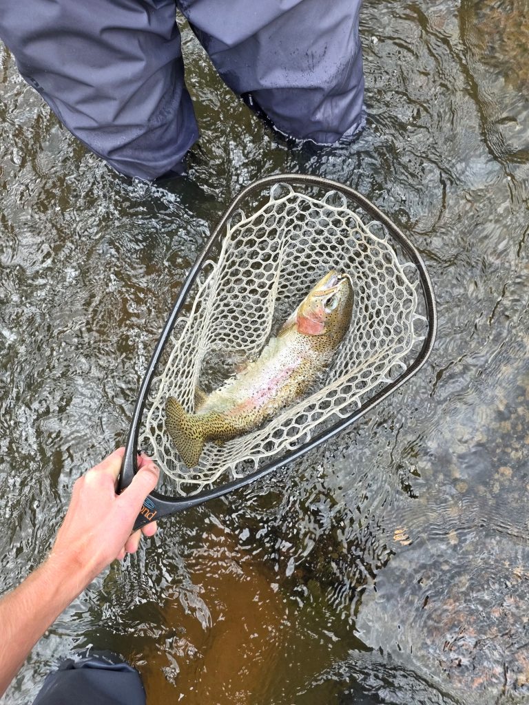 On the Fly: We live in dry fly fishing mecca