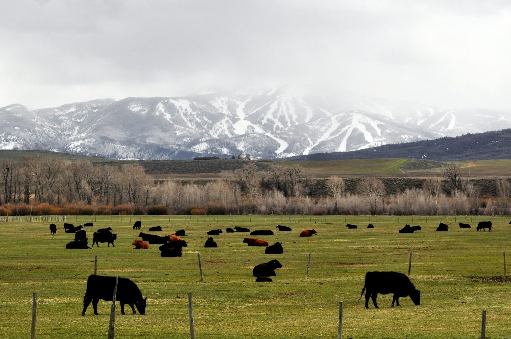 Why ranchers, the ski industry and Western Slope governments are paying close attention to Boulder's climate lawsuit before the U.S. Supreme Court