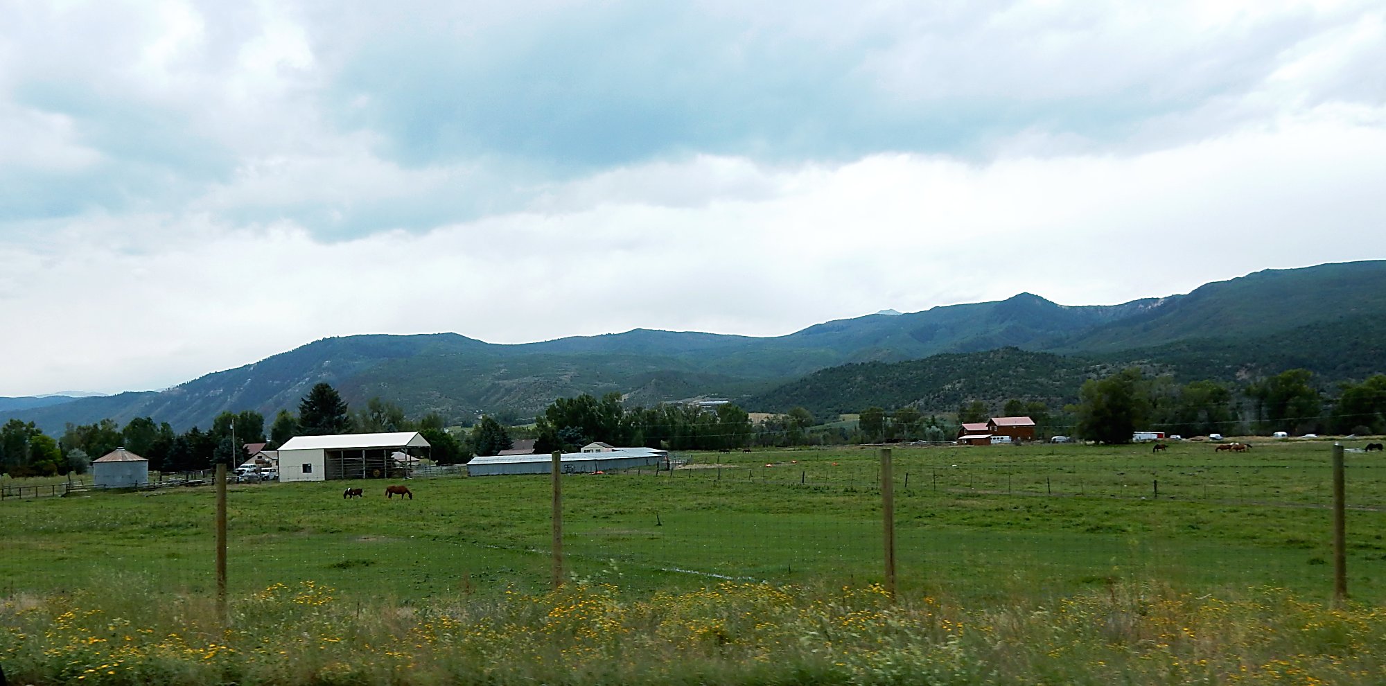 98home project proposed in El Jebel area