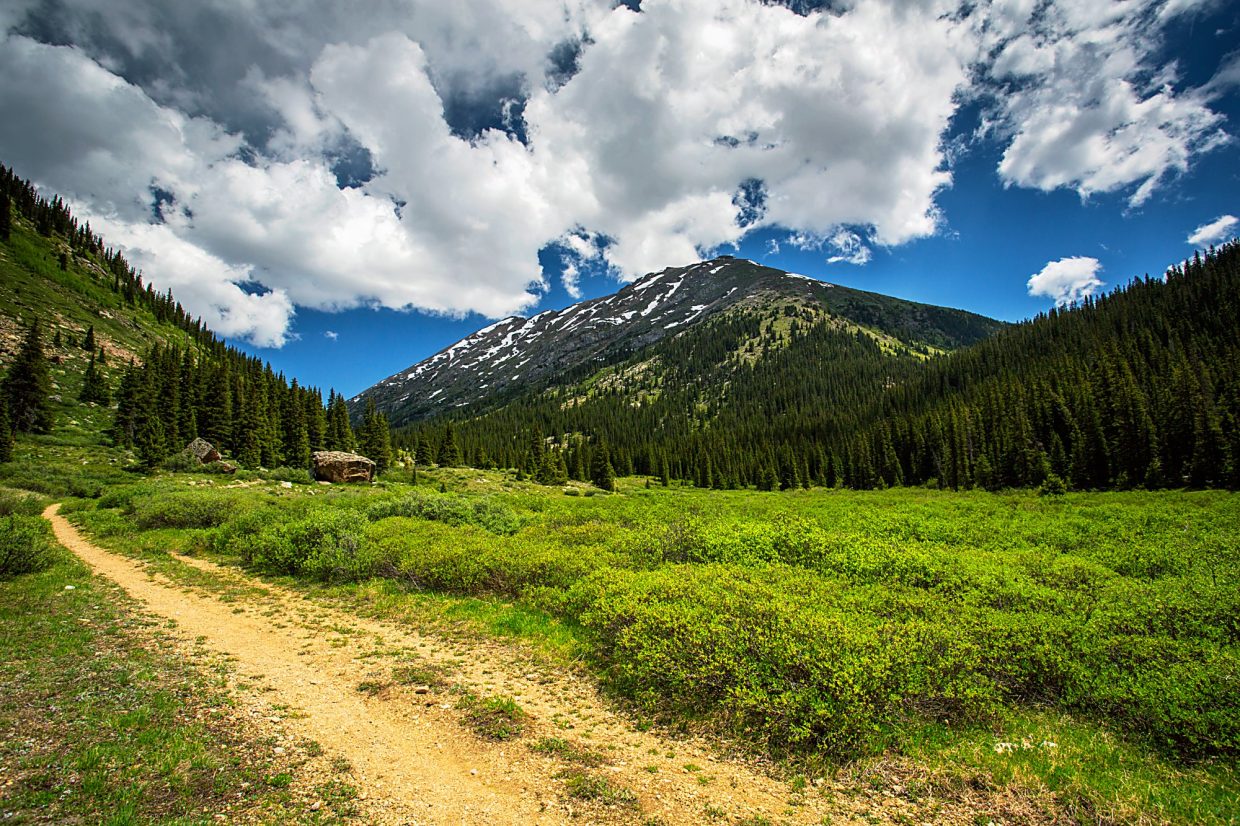 Wilderness Land Trust acquires property just outside Mount Massive Wilderness - Vimarsana News