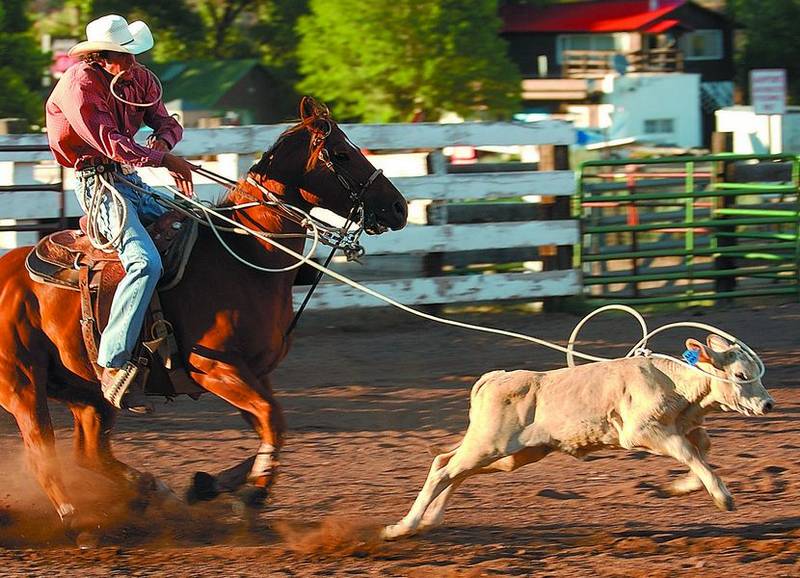 What Is Rodeo Riding Rodeo provides a great show | PostIndependent.com