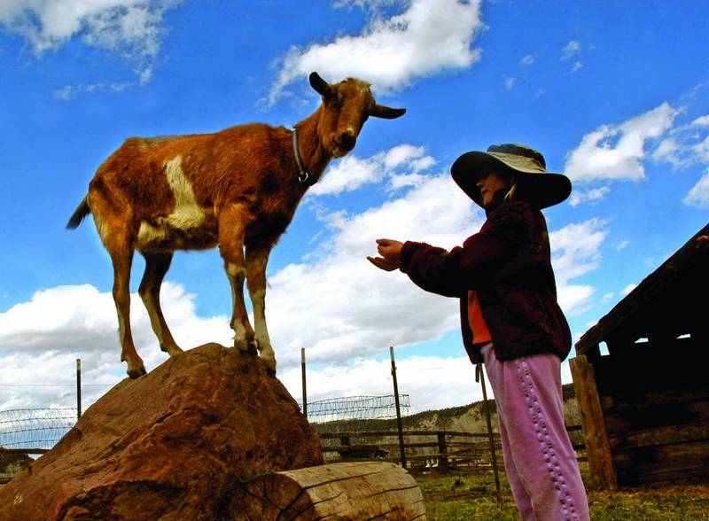 Spring break at Rock Bottom Ranch | PostIndependent.com