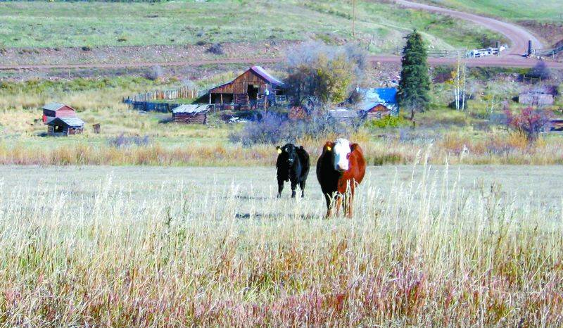 Gargling Ranch Preservation of Eagle/Garfield county ranch in doubt | PostIndependent.com
