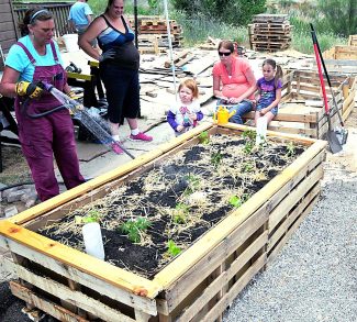 Building learning gardens at Mancinelli’s in Rifle | PostIndependent.com