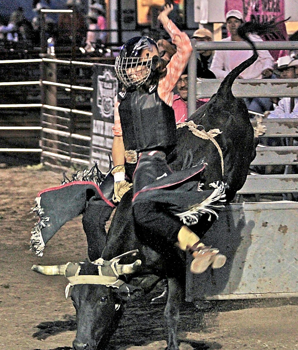 Ty Murray Rodeo Girls