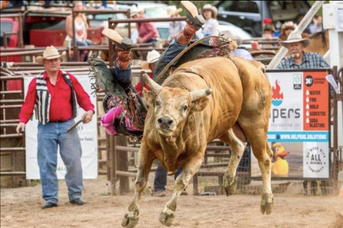 Quiz How much rodeo do you know?