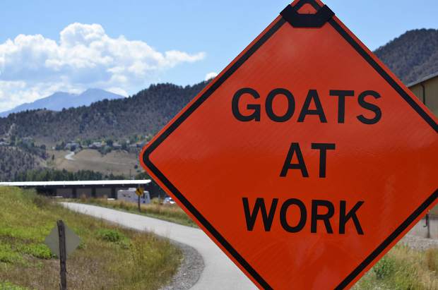 A sign advises Rio Grande Trail users about workers ahead.