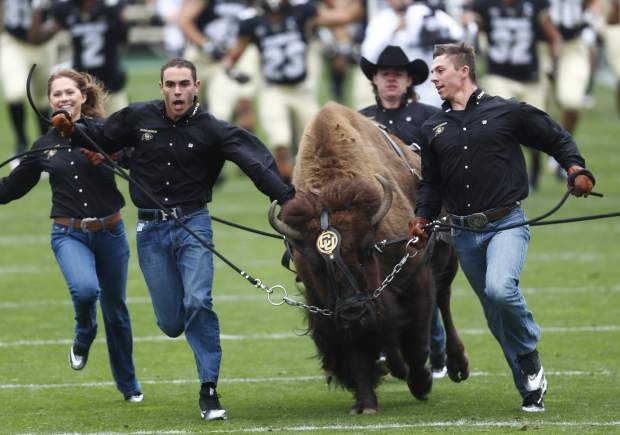 Buffaloes follow lead of live mascot Ralphie for 50th season ...