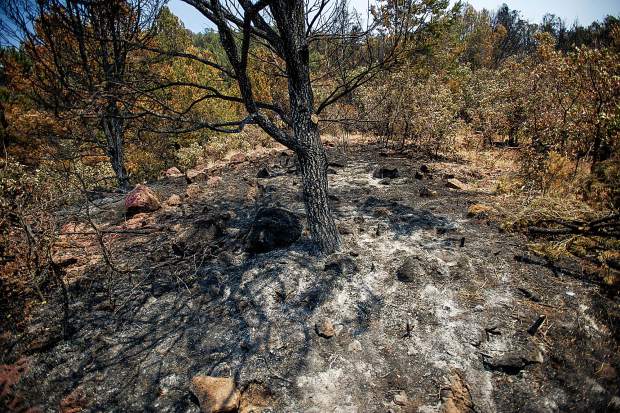 A burnt area above the Wilds neighborhood in Basalt from the Lake Christine Fire on Sunday.