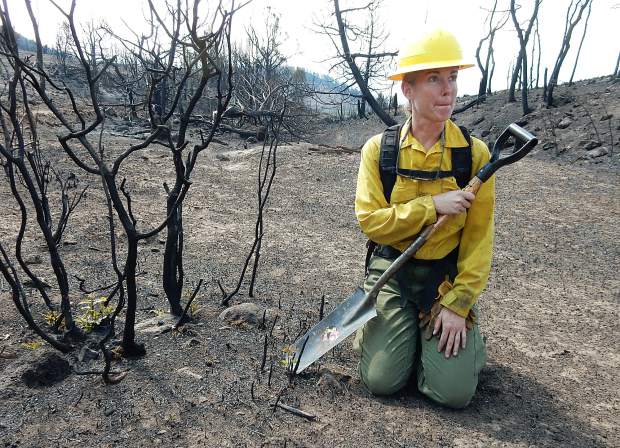 Beth Anderson, a soil scientist with the U.S. Forest Service, showed how suckers were already shooting up from oak brush roots within the Lake Christine Fire shortly after the fire struck last July.