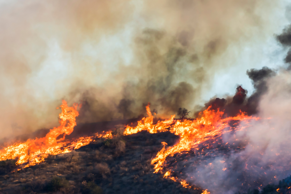 wildfire in california