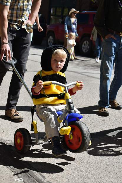 Children dressed as real or imaginary animal species to kick of Carbondale's Dandelion Day celebration. The dandelion is one of the first flowers bees eat in the spring
