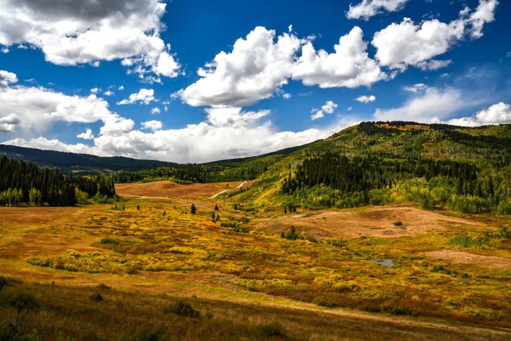 Pile burning beginning across the White River National Forest - Vimarsana News