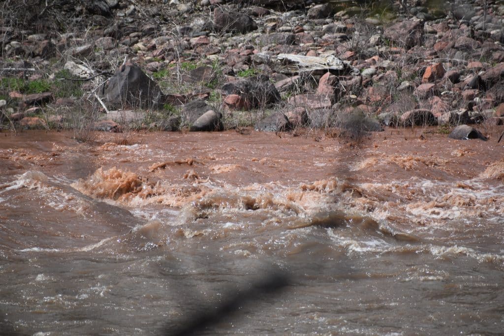 Glenwood Springs car dealer on mudslides ‘All those trees are ripped to shreds