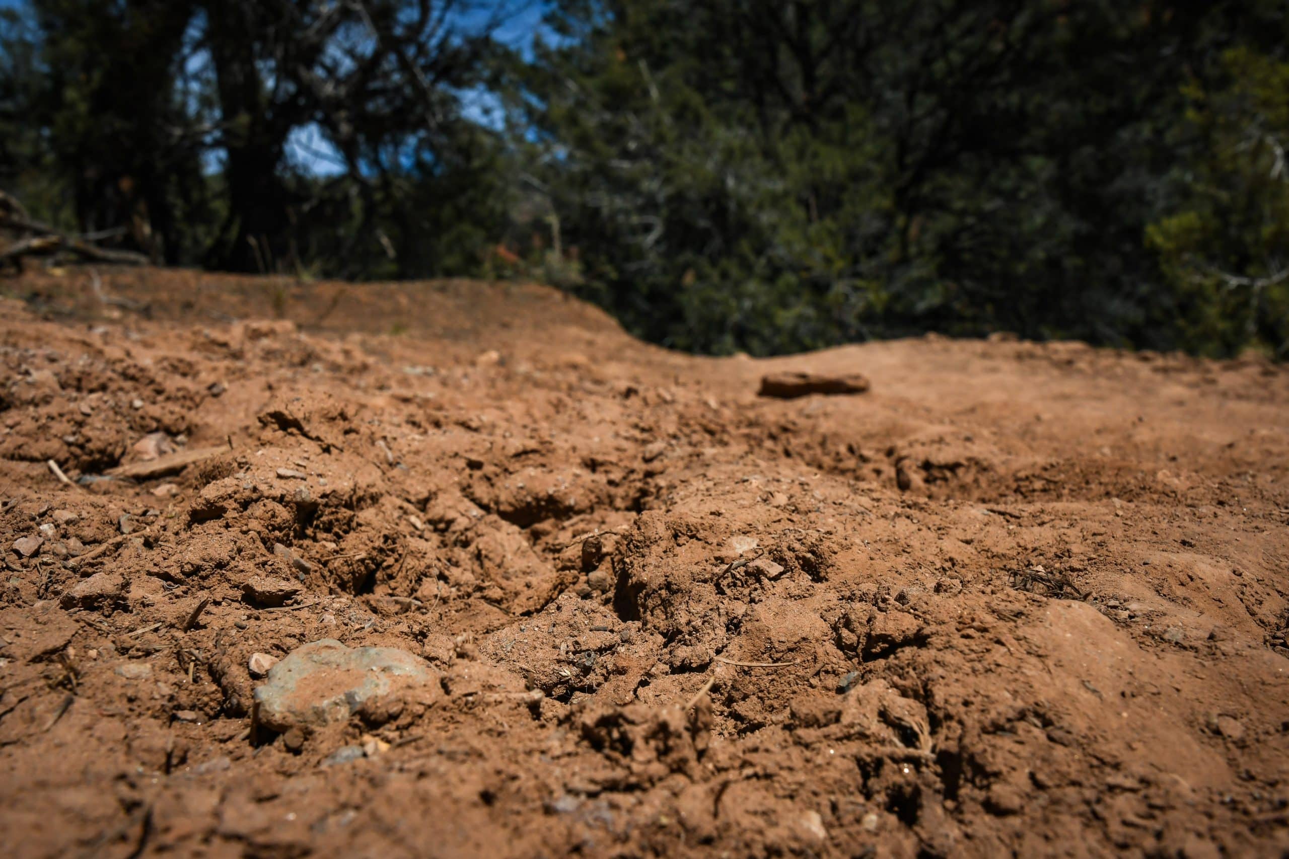 Go and Do: ‘Hike dirt, not mud’ springtime hiking do’s and don’ts ...