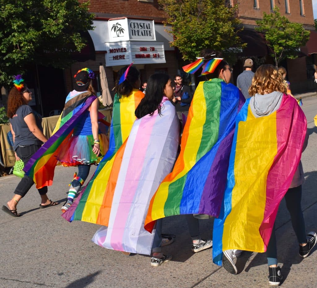 13th annual Family Block Party and Pride Parade returns to Carbondale's First Friday - Vimarsana News
