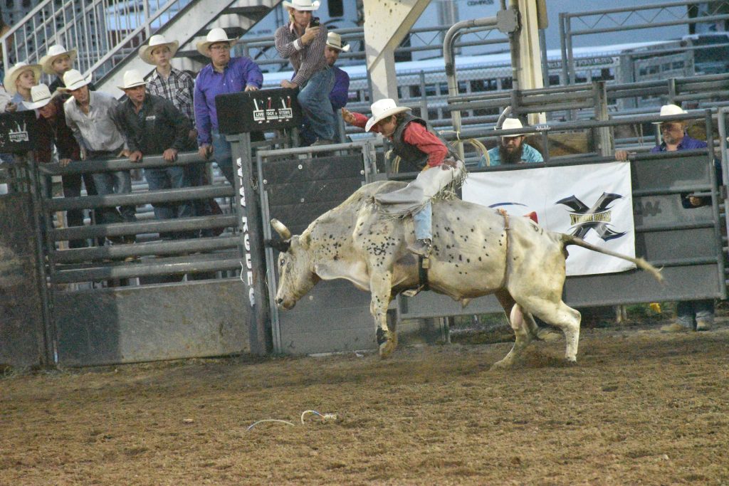 PHOTOS: Garfield County Fair and Rodeo comes to a close ...