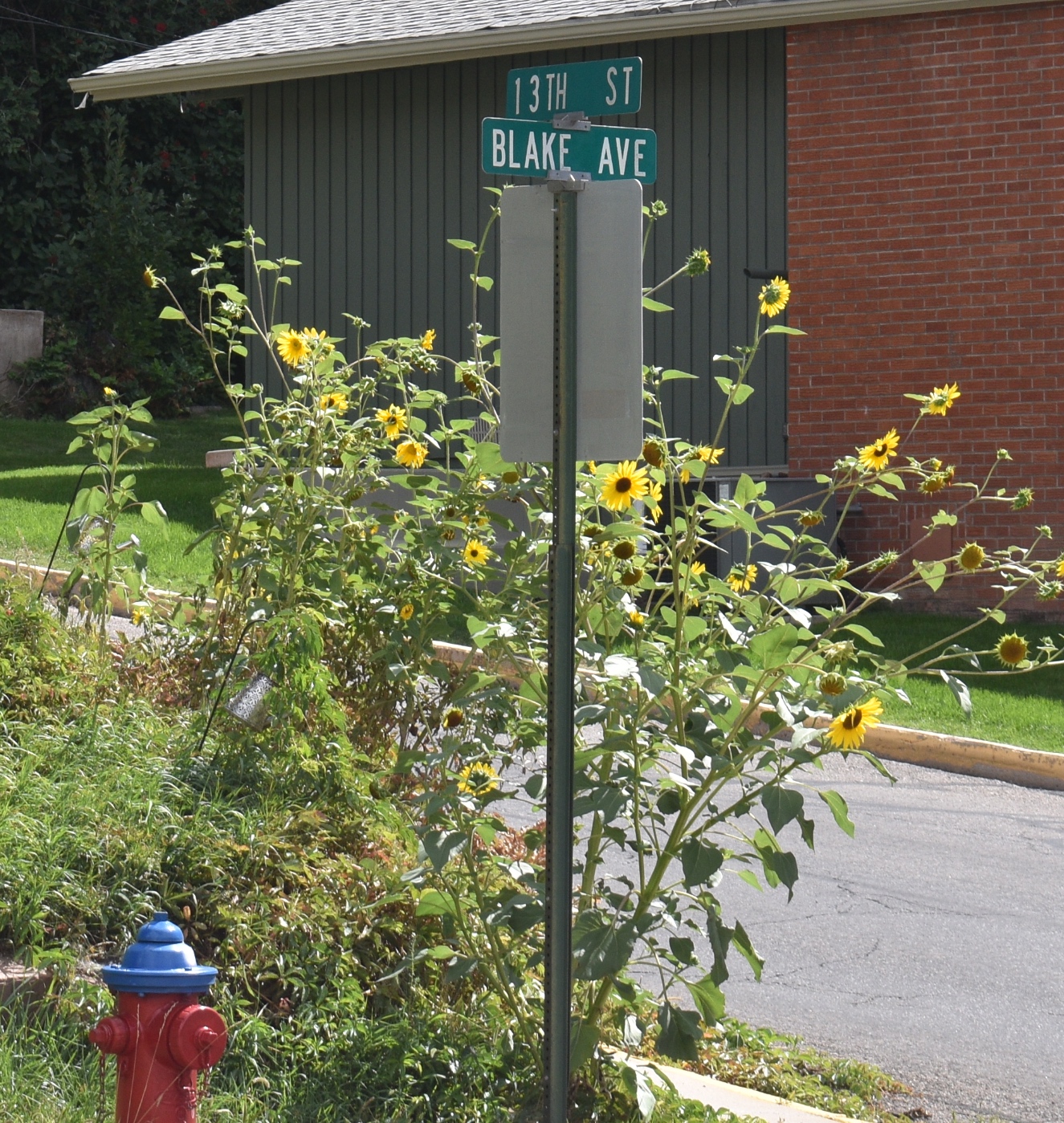 Blake Avenue redesign open house slated for Monday