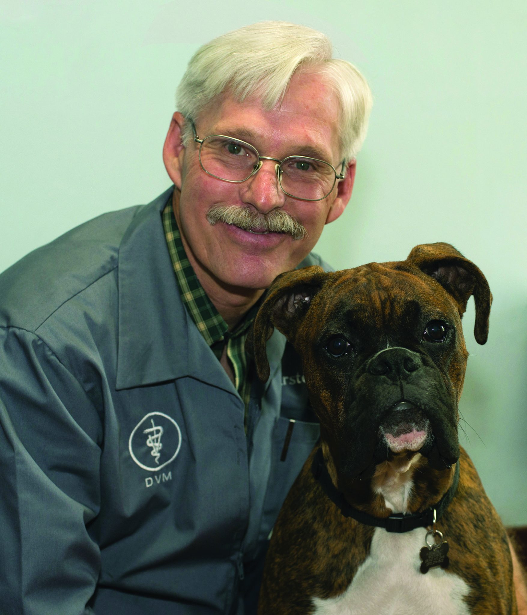 Carsten Column Allergies In Dogs Do Not All Look The Same carsten-column-allergies-in-dogs-do-not-all-look-the-same