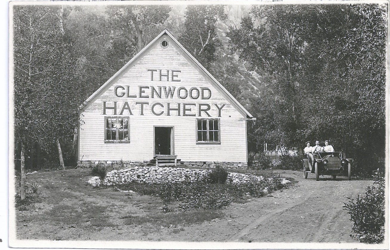 History in Focus Fresh (fish) eggs