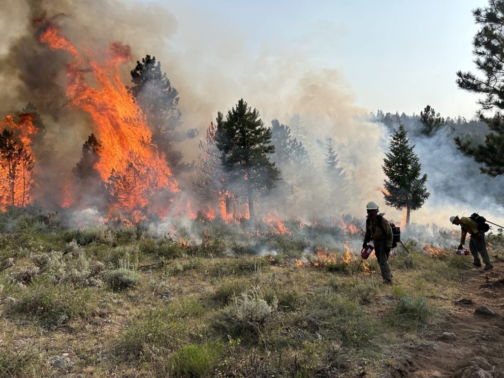 Incendios Forestales
