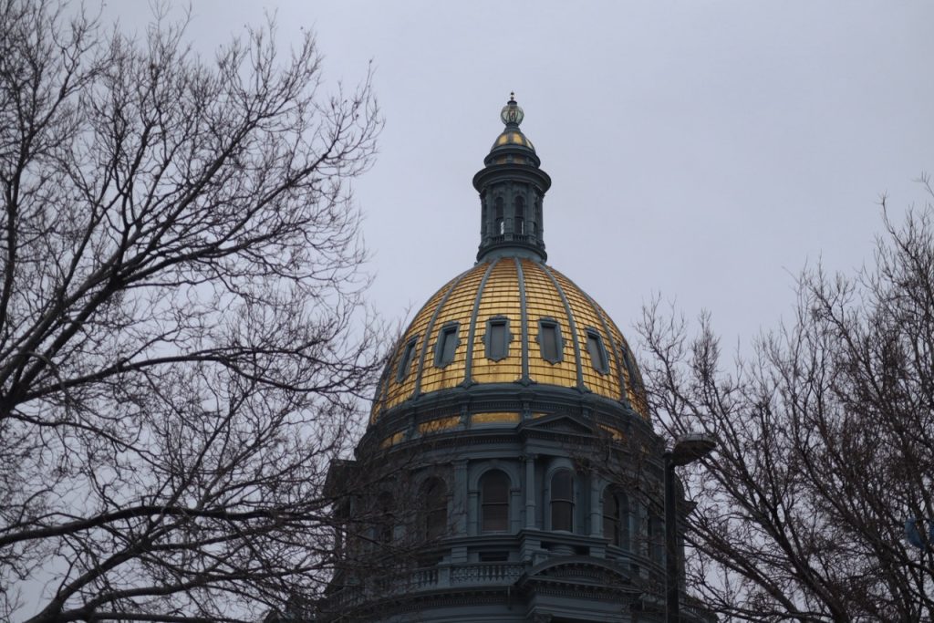 Lawmakers question how Colorado is managing wolves, depredation claims and public perception 