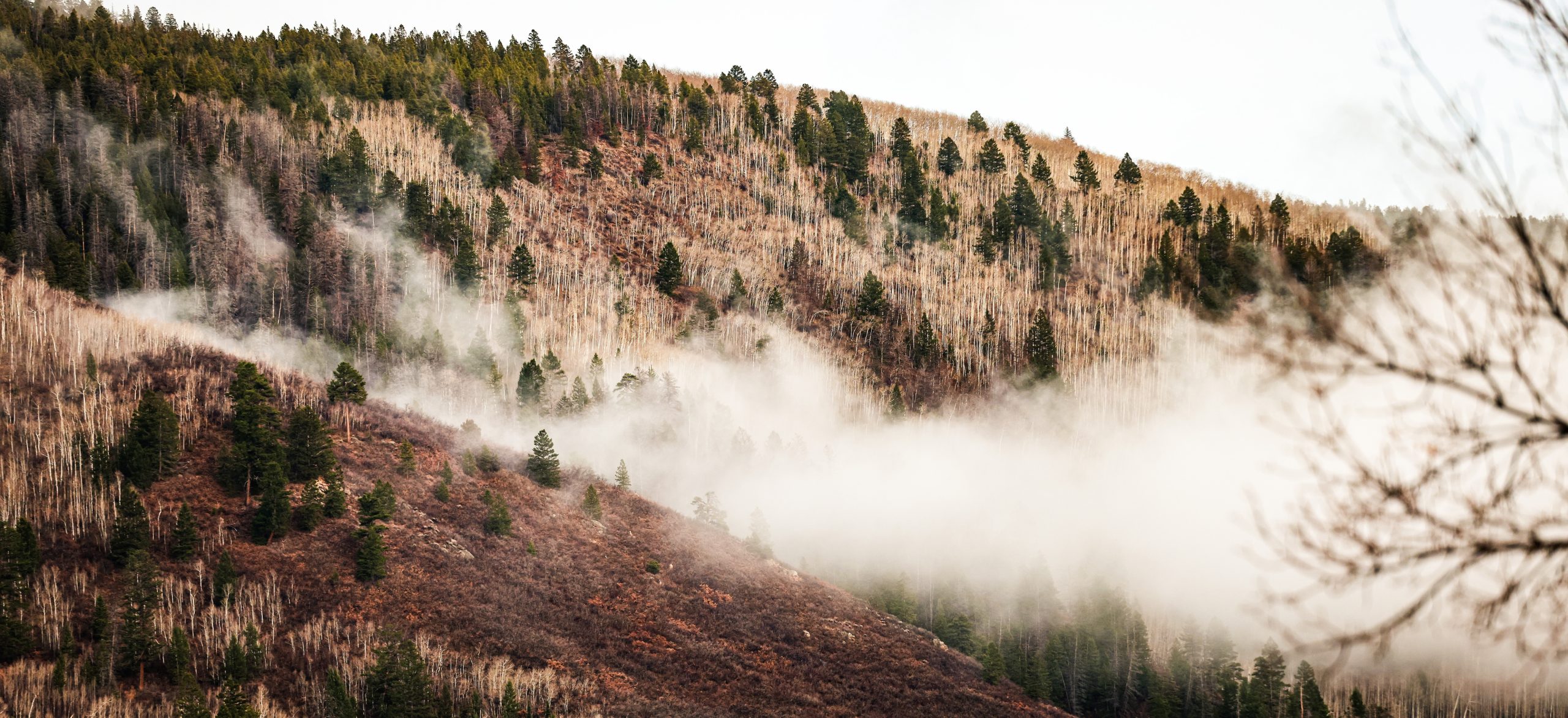 As Colorado faces historically bad snowpack, a new study links low snow ...