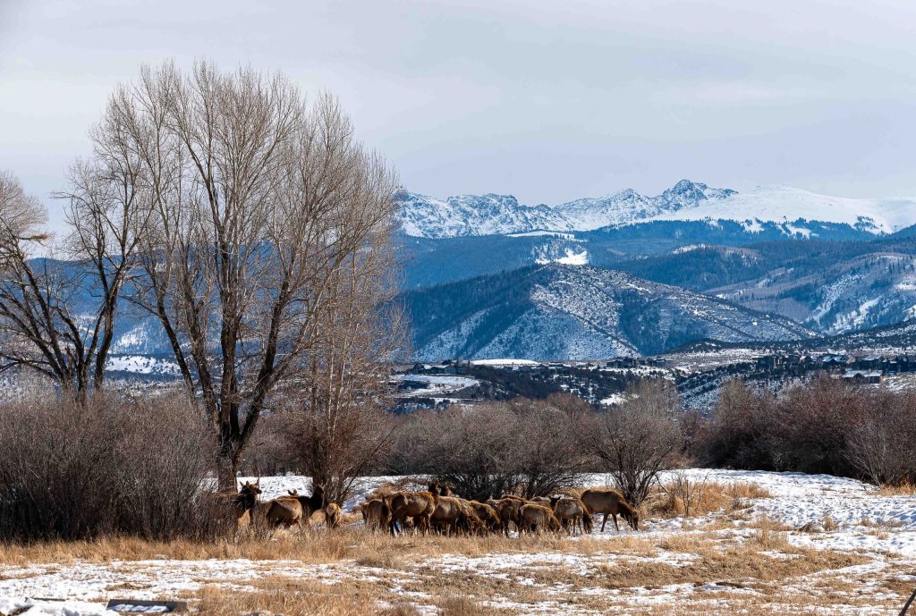 Eagle County is rewriting its land use code. Here's what that means for you