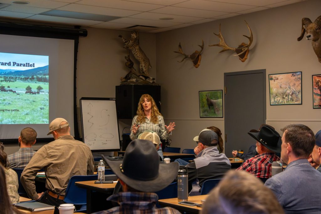 ‘An olive branch to producers:’ Colorado’s range rider program seeks to ...