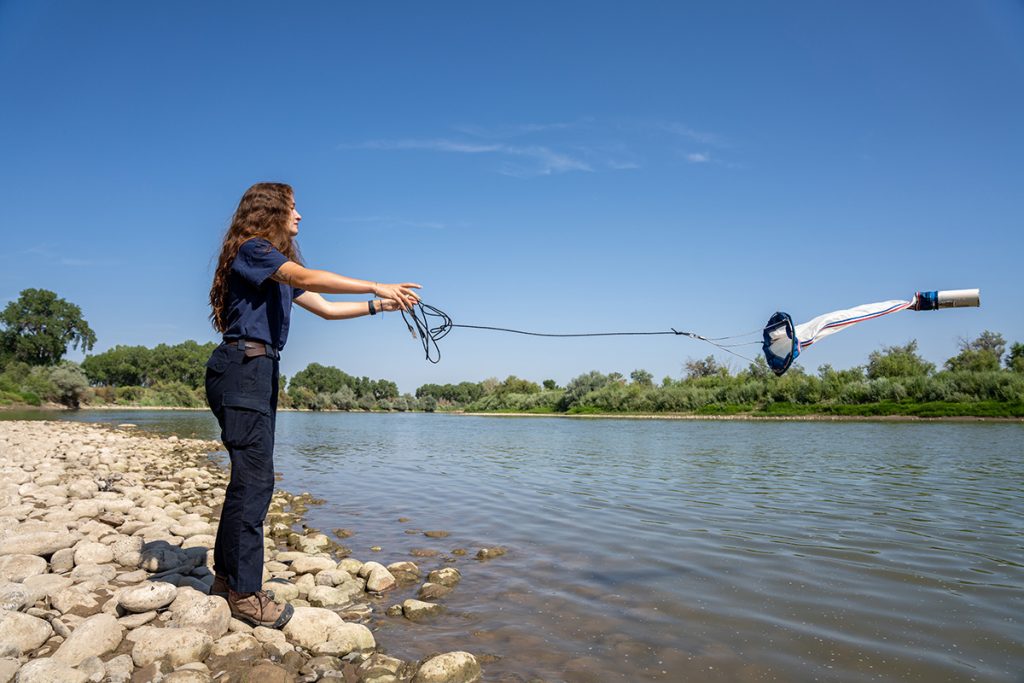 Colorado Parks and Wildlife resumes weekly testing for invasive species in Colorado River