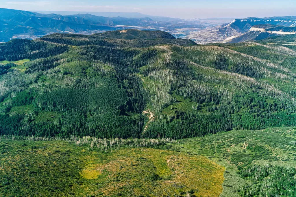 Garfield County supports Roan Plateau oil and gas lease sale