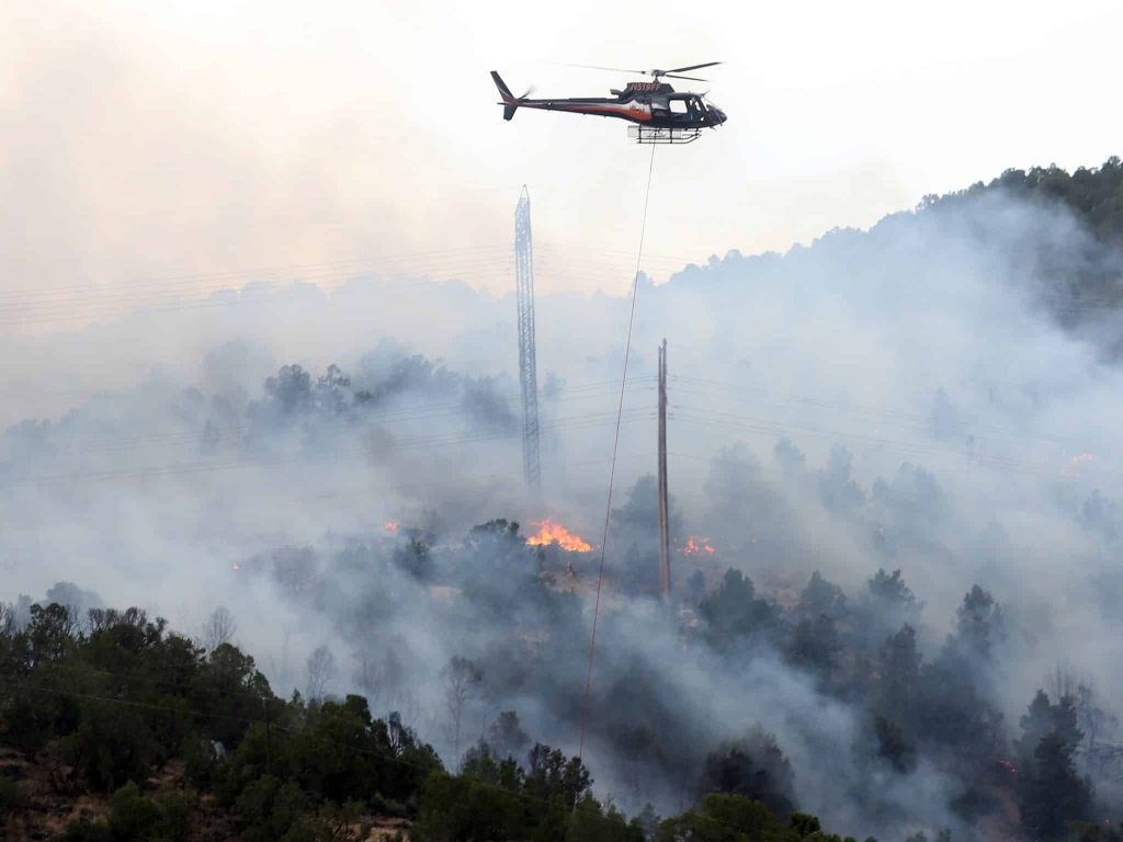 Forests are having a hard time recovering as the West sees more fast-moving wildfires, according to a new study