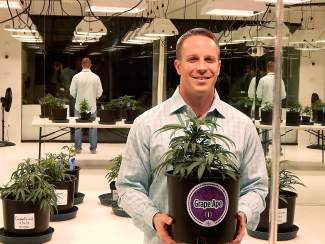 4 Vail Valley marijuana dispensaries offering specials for 4/20 |  VailDaily.com