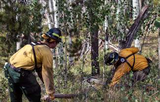 Bennet, Hickenlooper concerned over analysis finding 36% decline in U.S. Forest Service wildfire mitigation work this year