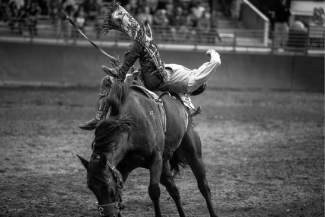 Devan Reilly, of Sheridan, Wyo., tries his best to stay on during the bareback riding competition at the Fair and Rodeo in Eagle. Reilly has been riding professionally for six years and has been competing at this rodeo for three.