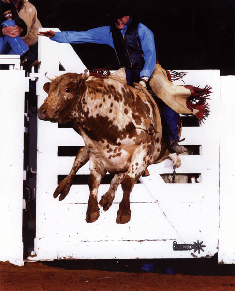 Gray keeps getting back on the bull | VailDaily.com